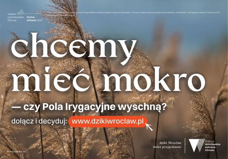 fot. mat. organizatora